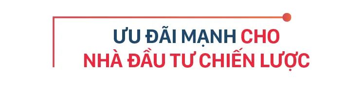 Nghị quyết 98: Hành trình xây dựng thể chế bứt phá cho TPHCM