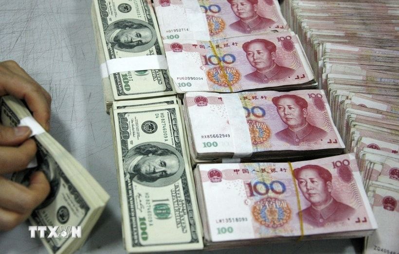 Nhân viên kiểm đồng USD và N. Ảnh: AFP/TTXVN