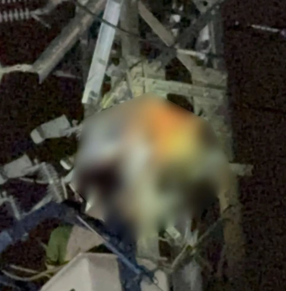 Hiện trường người đàn ông tử vong trên trụ điện. Ảnh: Đ.L