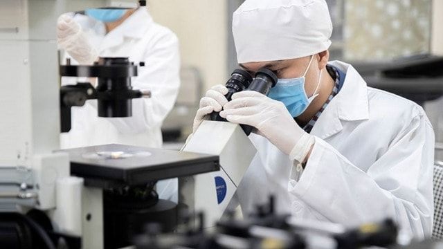 Ảnh minh họa Ảnh minh họa