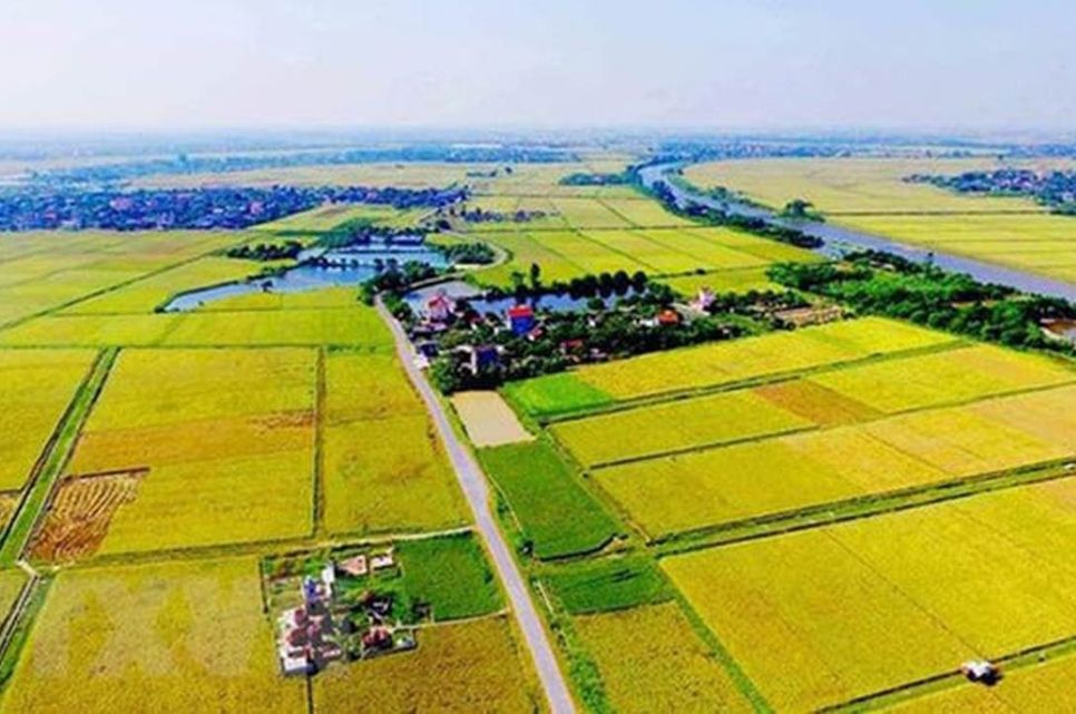 Đề xuất quy định mới về tiền sử dụng đất khi chuyển đất vườn, đất nông nghiệp sang đất ở. Ảnh: VGP Đề xuất quy định mới về tiền sử dụng đất khi chuyển đất vườn, đất nông nghiệp sang đất ở. Ảnh: VGP