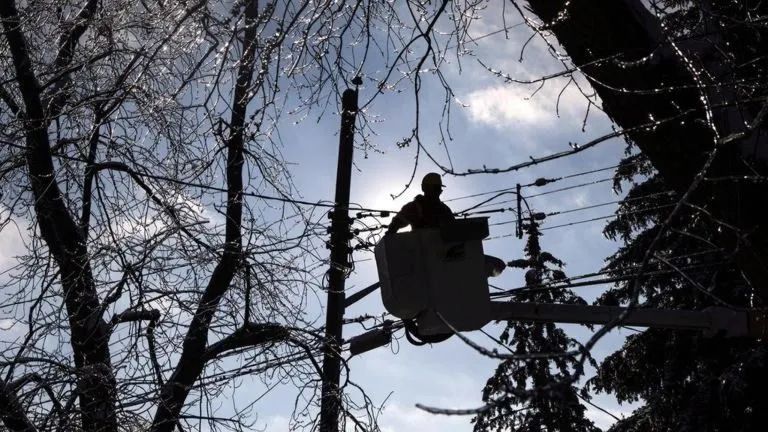 BC Hydro cho biết nhiều năm hạn hán đã khiến cây cối trở nên yếu và không ổn định, dẫn đến gió mạnh làm chúng đổ xuống các thiết bị điện. Ảnh: Canadian Press BC Hydro cho biết nhiều năm hạn hán đã khiến cây cối trở nên yếu và không ổn định, dẫn đến gió mạnh làm chúng đổ xuống các thiết bị điện. Ảnh: Canadian Press