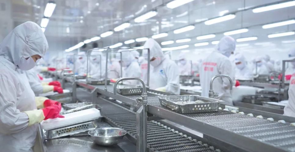 Trong 11 tháng của năm 2025, xuất khẩu tôm Việt Nam đạt kim ngạch 4,3 tỷ USD Trong 11 tháng của năm 2025, xuất khẩu tôm Việt Nam đạt kim ngạch 4,3 tỷ USD