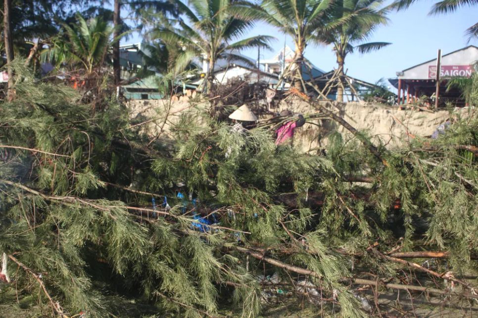 Dọn dẹp cây cối sau trận triều cường vào sáng 23-12. Ảnh: NGUYỄN TRANG