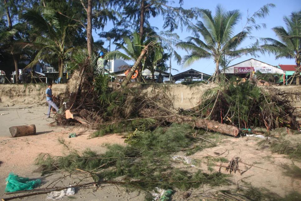 Lực lượng công nhân đang cắt những cây dương liễu bị ngã đổ, khắc phục hậu quả triều cường. Ảnh: NGUYỄN TRANG
