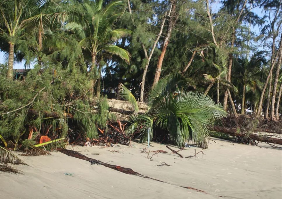 Xâm thực ngày càng nghiêm trọng bãi biển xã Tịnh Khê. Ảnh: NGUYỄN TRANG