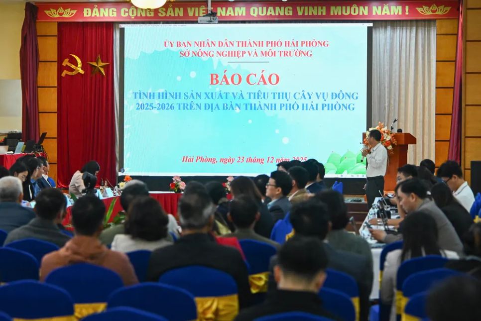 Quang cảnh diễn đàn sáng 23-12