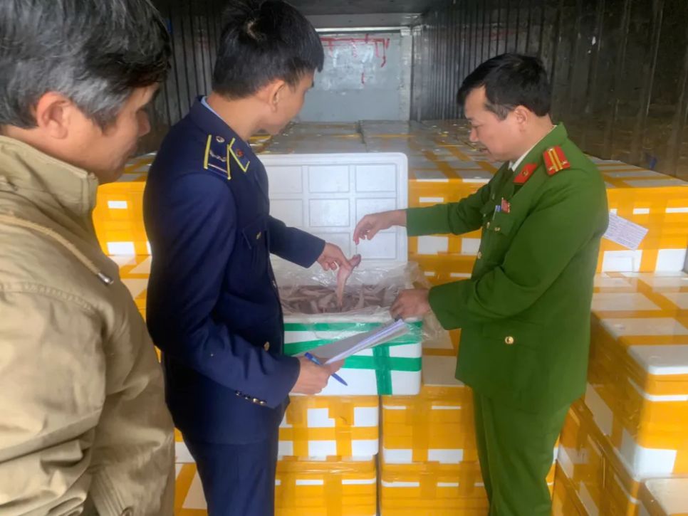 Lô hàng được nhập khẩu từ Trung Quốc qua cửa khẩu quốc tế Hữu Nghị (tỉnh Lạng Sơn), vận chuyển đi tiêu thụ. Ảnh: DMS