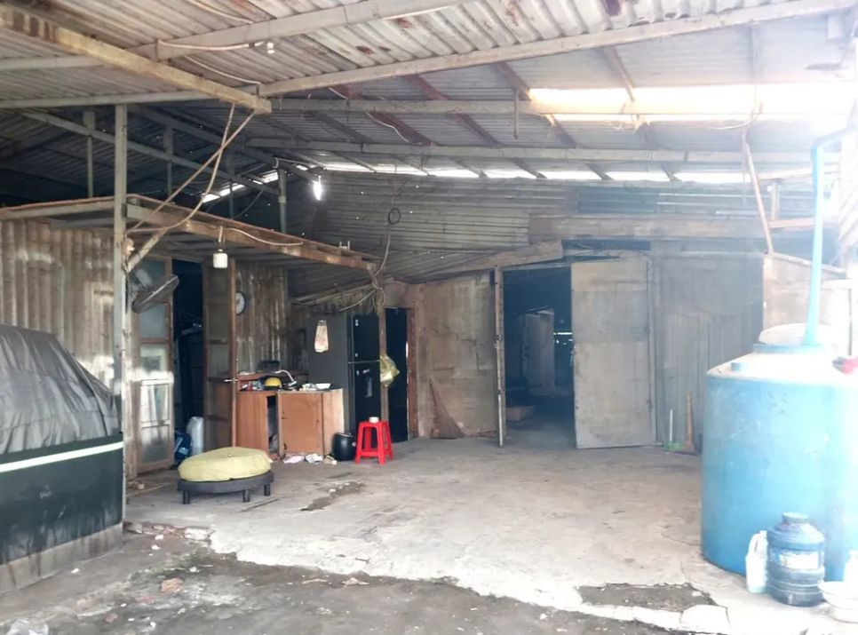 Điểm sản xuất thịt heo giả thịt bò nhếch nhác