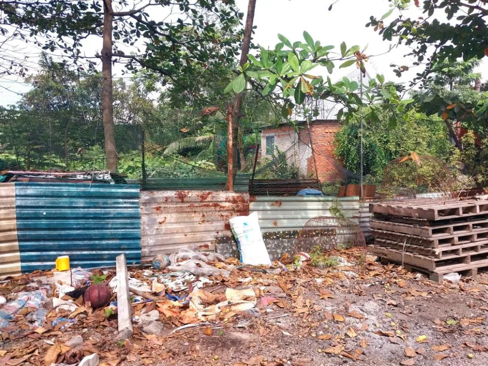 Xung quanh điểm sản xuất thịt heo giả thịt bò rác ngổn ngang