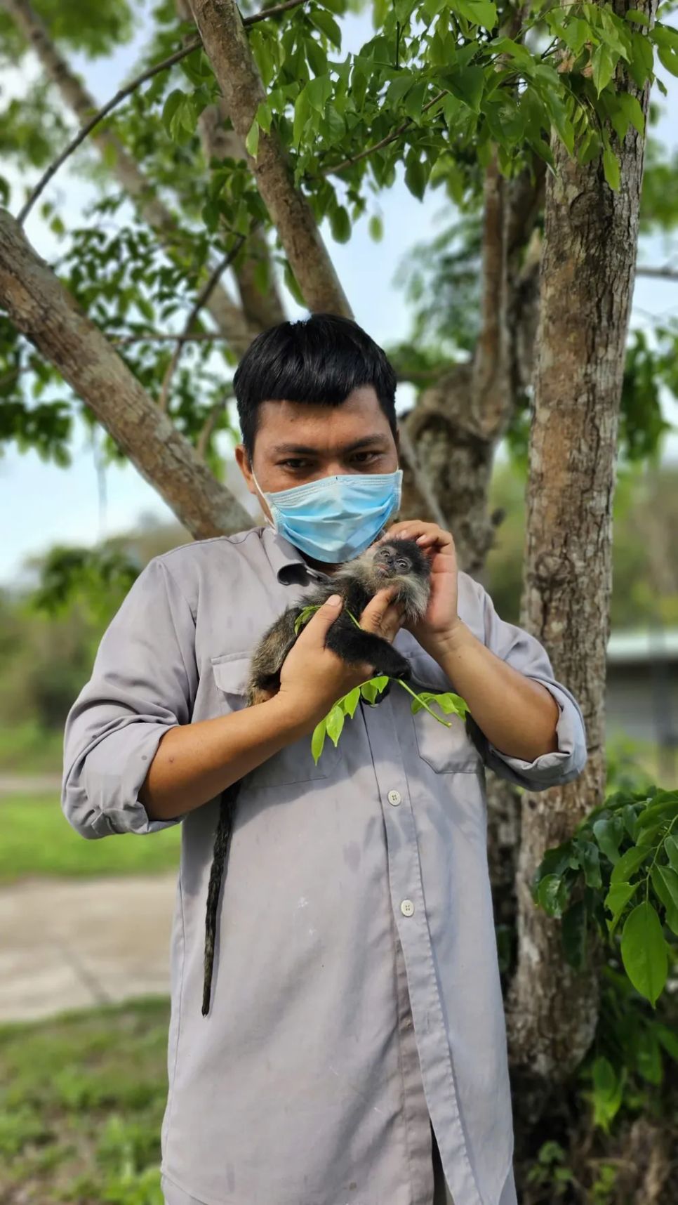 10 năm Vinpearl Safari Phú Quốc: Dấu ấn tiên phong của Safari bán hoang dã đầu tiên tại Việt Nam