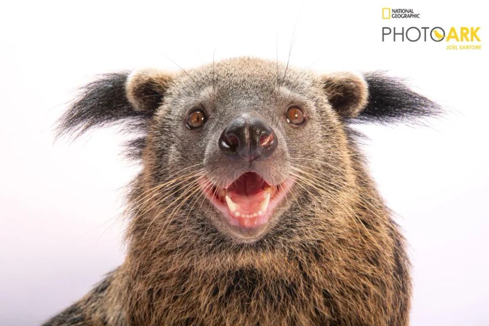 Dấu ấn trên bản đồ bảo tồn thế giới. Ảnh chụp bởi National Geographic, tháng 8-2024