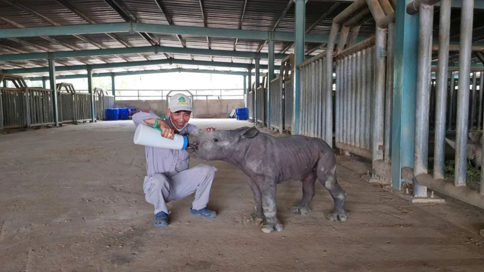 Những phép màu từ “nhà hội sinh” trên đảo, nơi sự sống sinh sôi từng mùa. Ảnh: <span style=