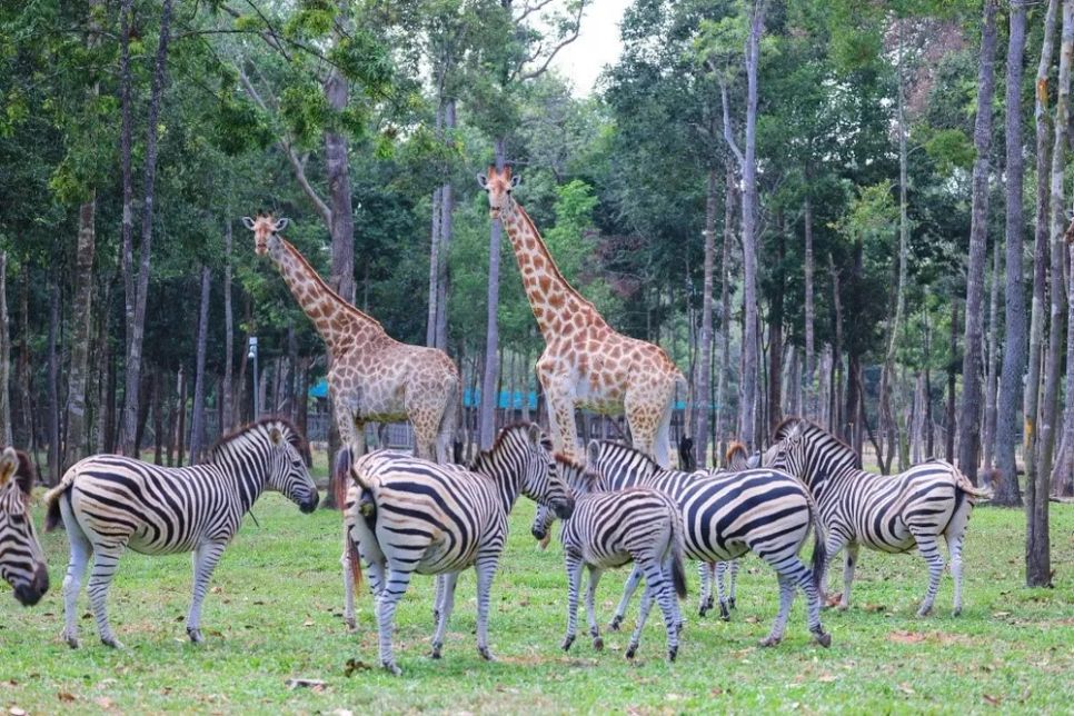 Thiên đường bảo tồn và kho tàng di sản sinh học quy tụ đa dạng nguồn gen quý. Ảnh: <span style=