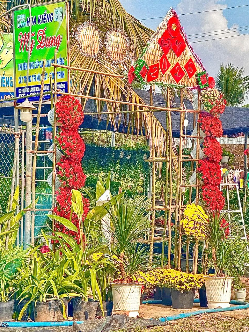 Cổng hoa do nông dân trồng hoa trang trí trước sân nhà Cổng hoa do nông dân trồng hoa trang trí trước sân nhà