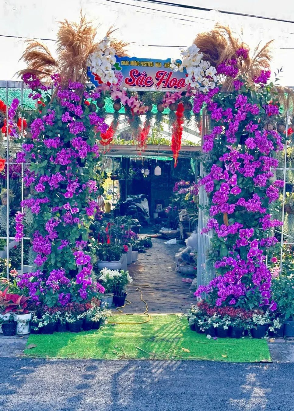 Cổng hoa do nông dân trồng hoa trang trí trước sân nhà Cổng hoa do nông dân trồng hoa trang trí trước sân nhà