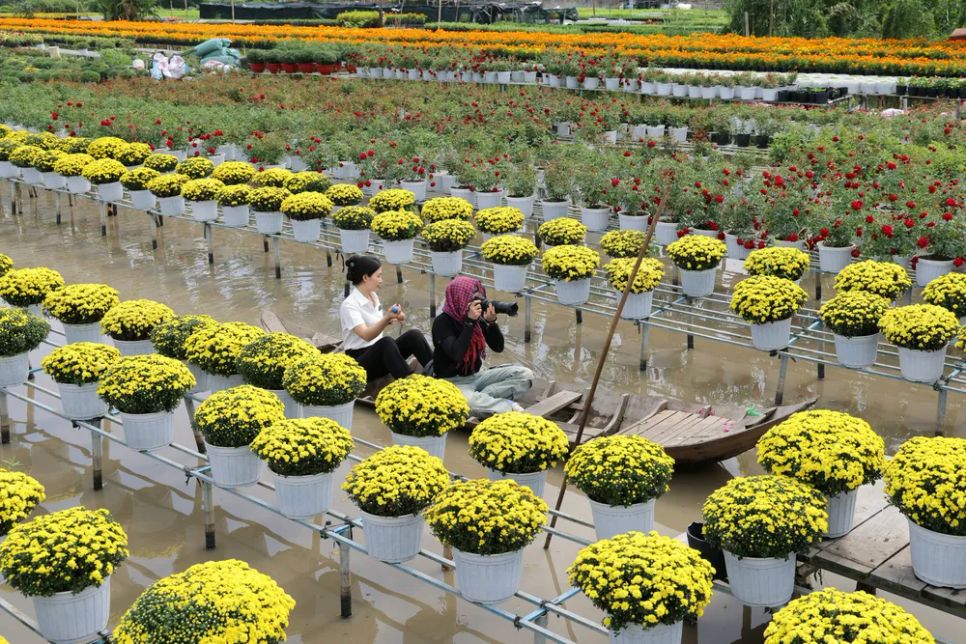 Mỗi nhà vườn là một “đại sứ” của Làng hoa Sa Đéc Mỗi nhà vườn là một “đại sứ” của Làng hoa Sa Đéc