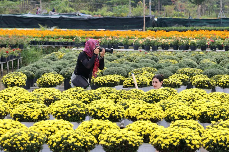 Mỗi nhà vườn là một “đại sứ” của Làng hoa Sa Đéc Mỗi nhà vườn là một “đại sứ” của Làng hoa Sa Đéc