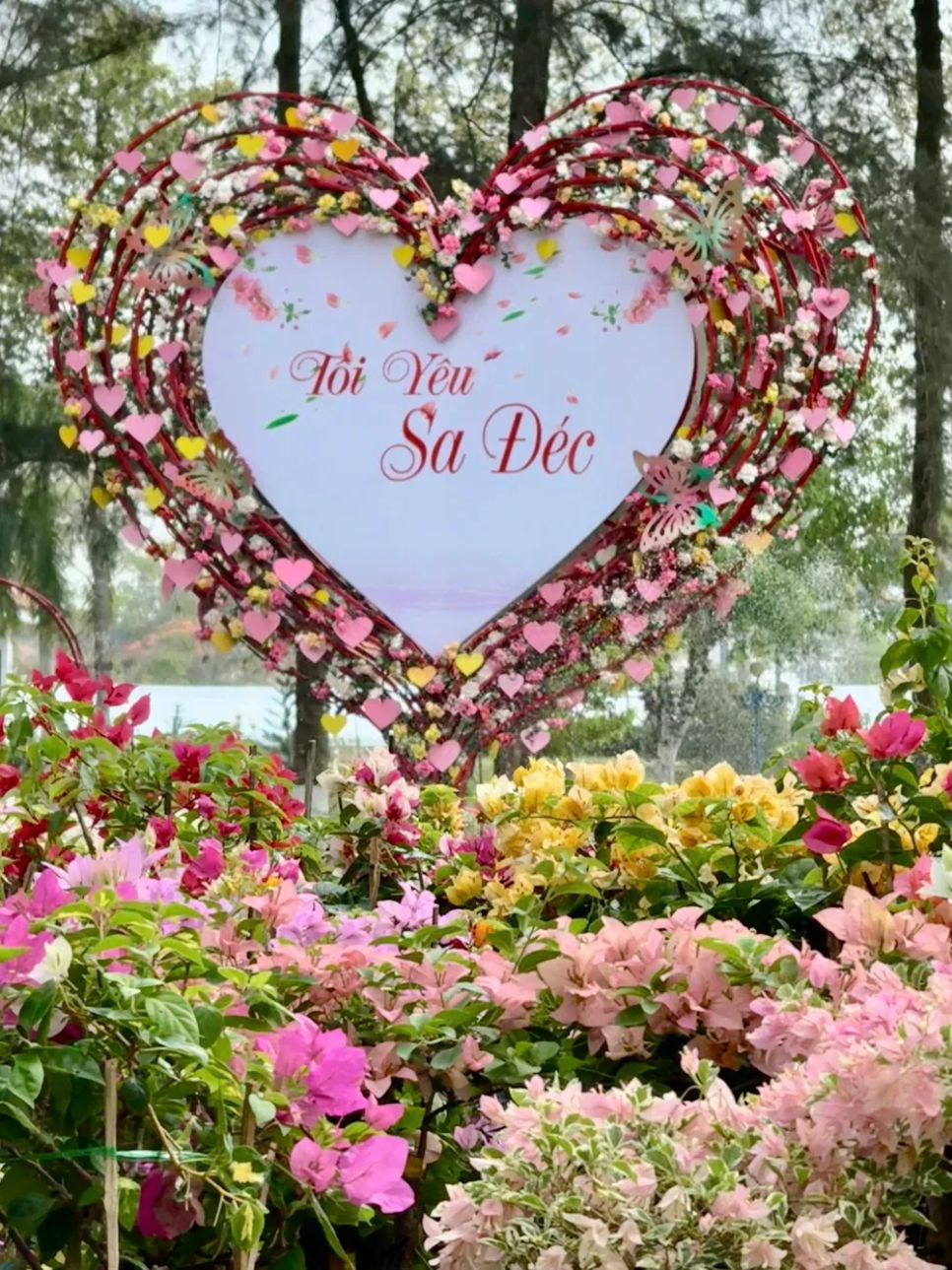 Mỗi nhà vườn là một “đại sứ” của Làng hoa Sa Đéc Mỗi nhà vườn là một “đại sứ” của Làng hoa Sa Đéc