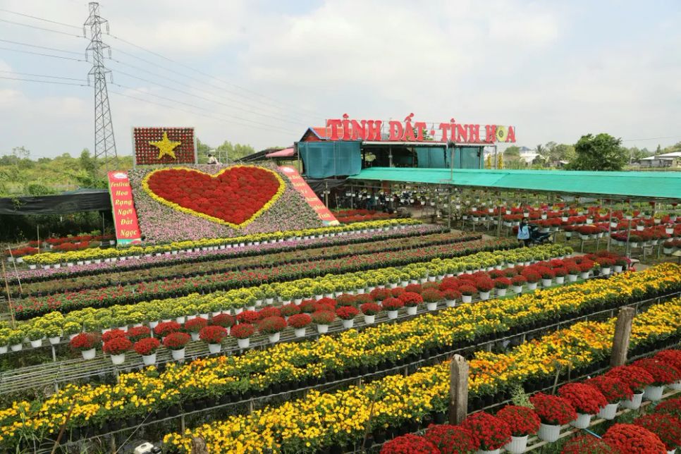 Mỗi nhà vườn là một “đại sứ” của Làng hoa Sa Đéc Mỗi nhà vườn là một “đại sứ” của Làng hoa Sa Đéc