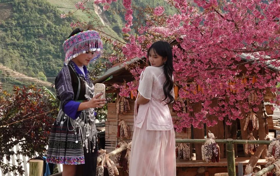 <p>Du khách không khỏi ngỡ ngàng, trầm trồ trước vẻ đẹp nguyên sơ, mộc mạc nhưng đầy cuốn hút của loài hoa Tớ Dày, một loài hoa gắn bó với bao thế hệ người Mông vùng cao nơi đây.</p>