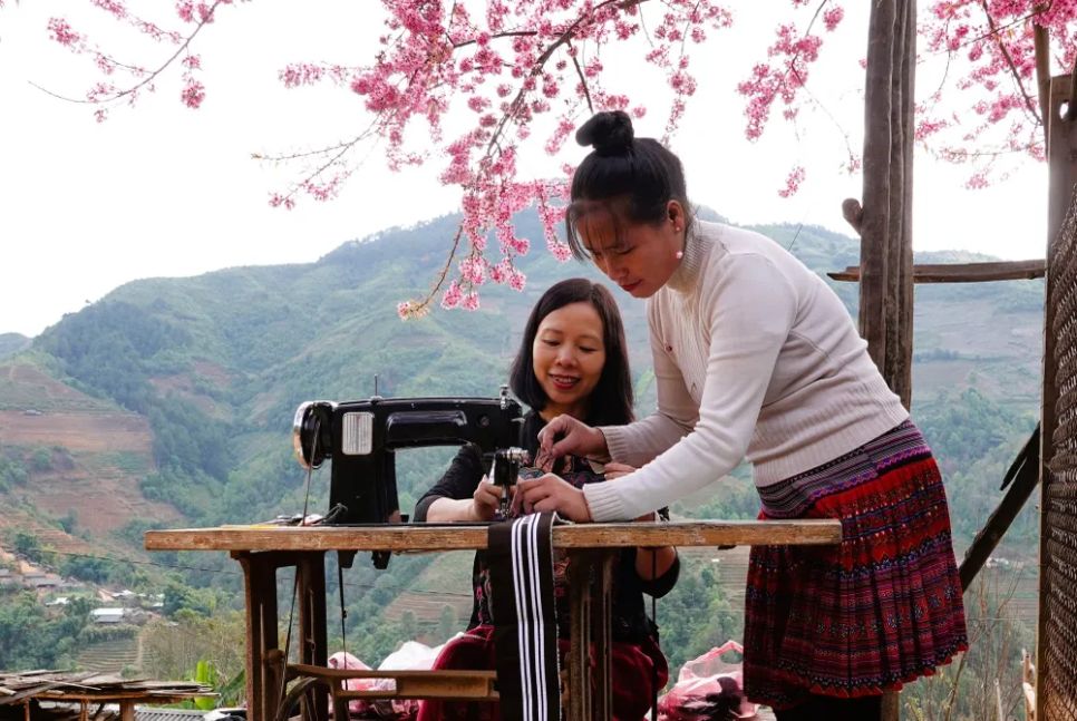 <p>Hoa Tớ Dày được người dân vùng cao Mù Cang Chải trồng quanh nhà.</p>