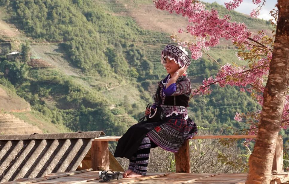 <p>Những năm gần đây, cứ vào mùa hoa Tớ Dày, Mù Căng Chải lại tổ chức thành lễ hội hàng năm, thu hút du khách.</p>