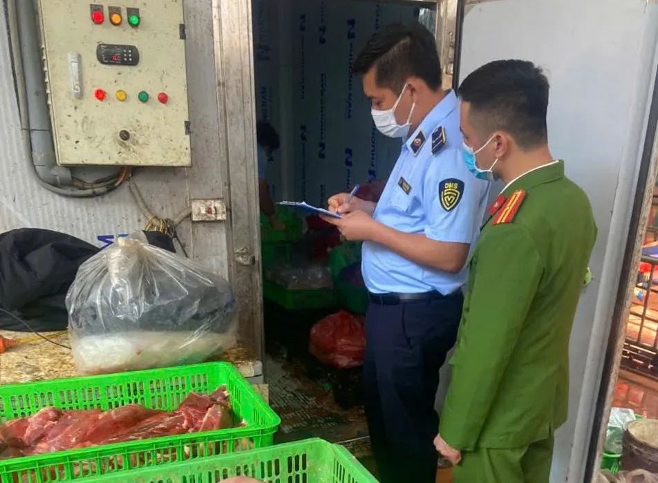 Cơ quan chức năng kiểm tra các lô thịt heo nghi nhiễm bệnh. Ảnh: DMS