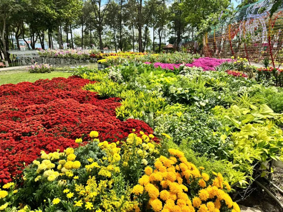 Độc đáo bản đồ Việt Nam kết tinh từ 1.000 giống hoa tại Sa Đéc