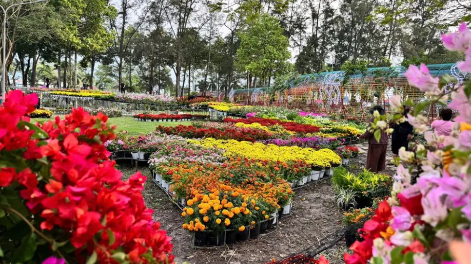 Độc đáo bản đồ Việt Nam kết tinh từ 1.000 giống hoa tại Sa Đéc