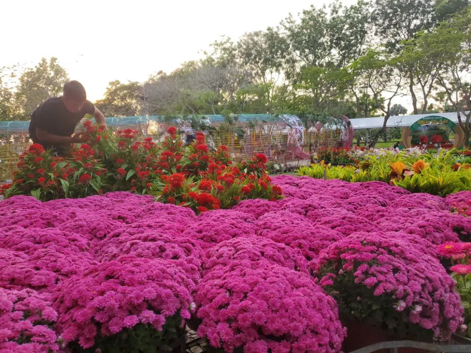 Độc đáo bản đồ Việt Nam kết tinh từ 1.000 giống hoa tại Sa Đéc