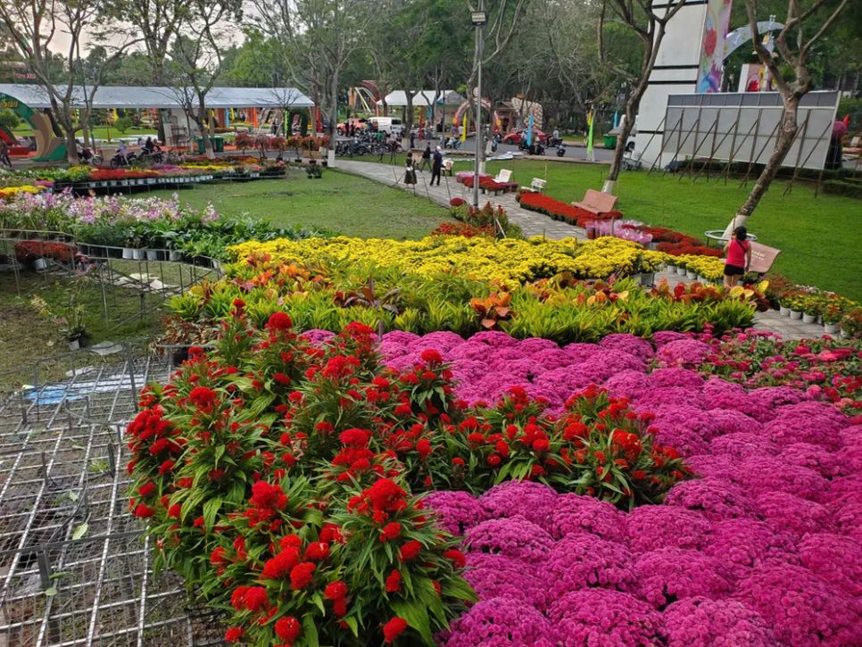 Độc đáo bản đồ Việt Nam kết tinh từ 1.000 giống hoa tại Sa Đéc