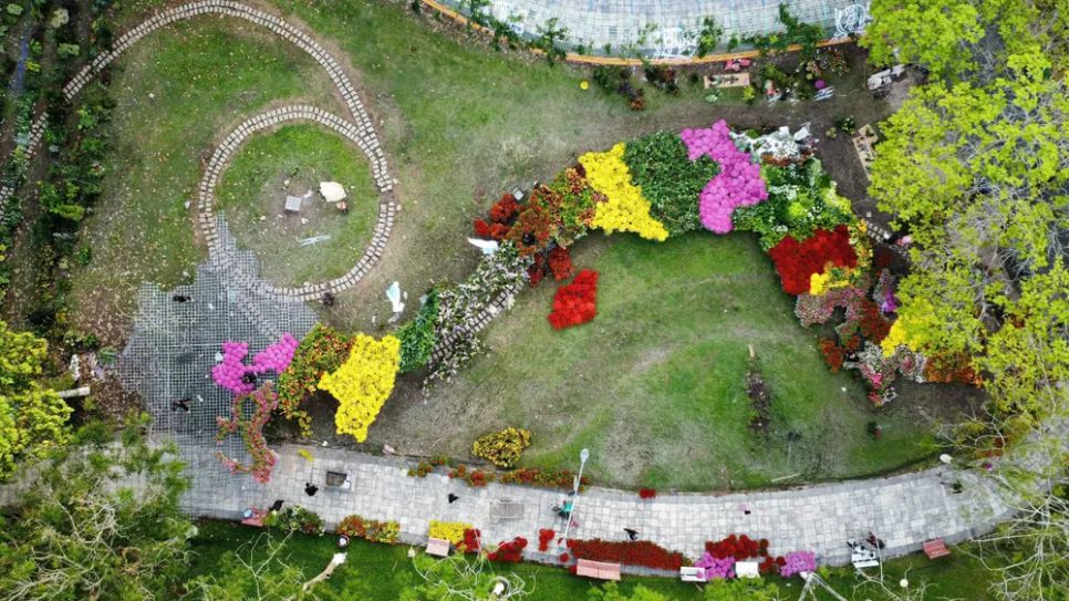 Độc đáo bản đồ Việt Nam kết tinh từ 1.000 giống hoa tại Sa Đéc