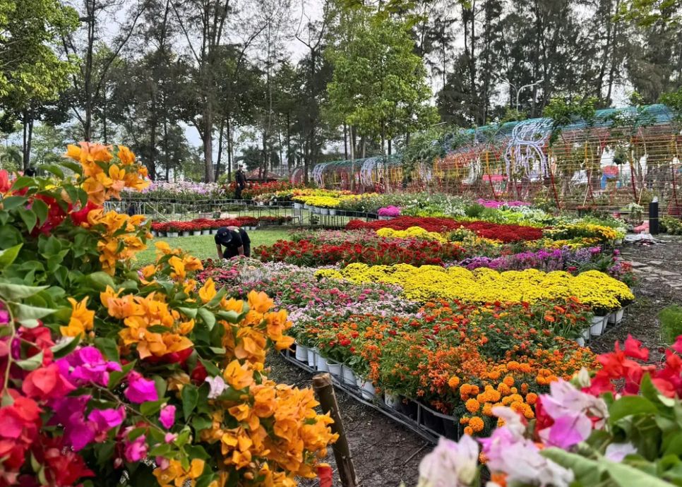 Độc đáo bản đồ Việt Nam kết tinh từ 1.000 giống hoa tại Sa Đéc