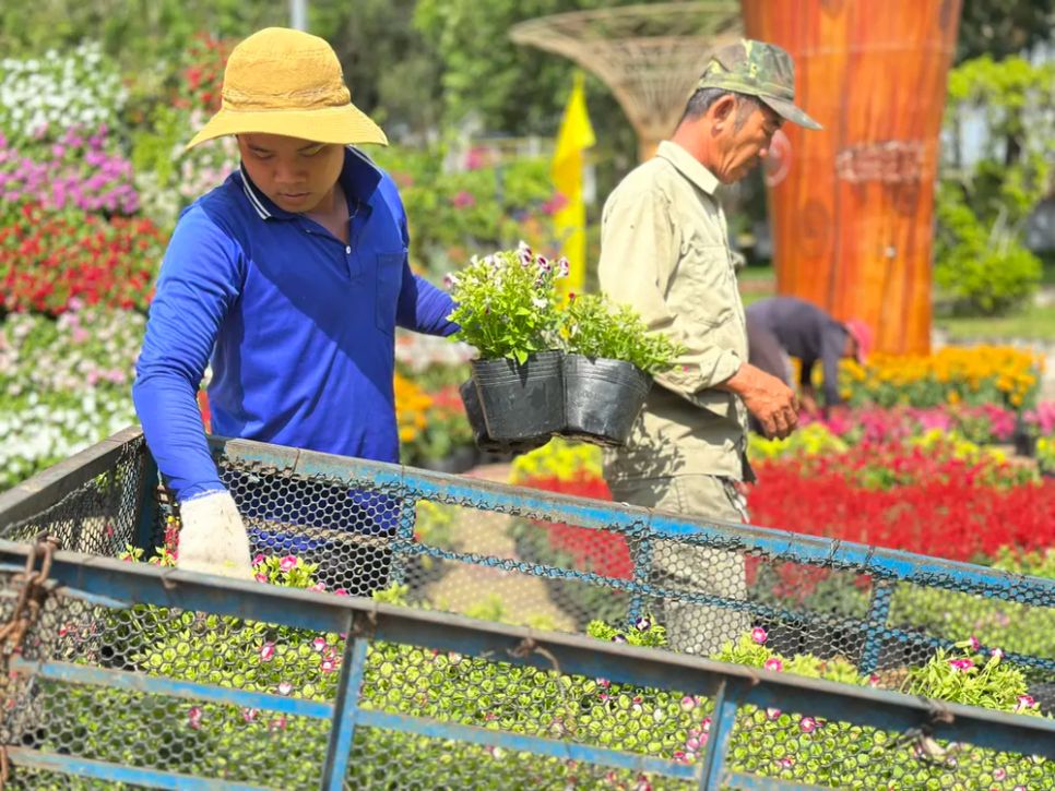 Độc đáo bản đồ Việt Nam kết tinh từ 1.000 giống hoa tại Sa Đéc