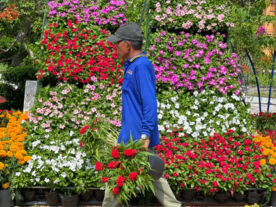 Độc đáo bản đồ Việt Nam kết tinh từ 1.000 giống hoa tại Sa Đéc