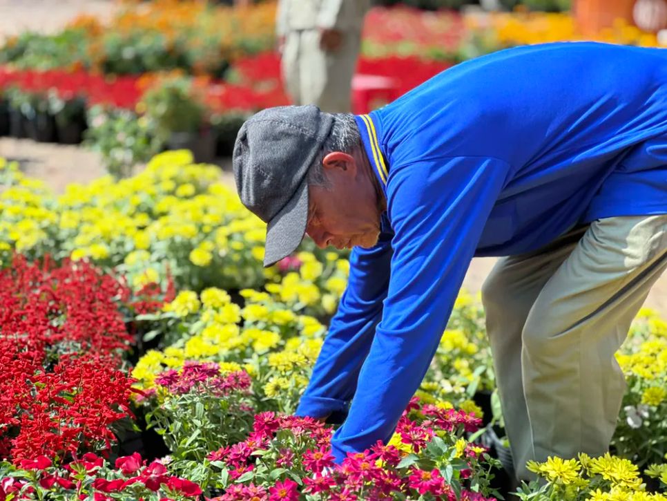 Độc đáo bản đồ Việt Nam kết tinh từ 1.000 giống hoa tại Sa Đéc