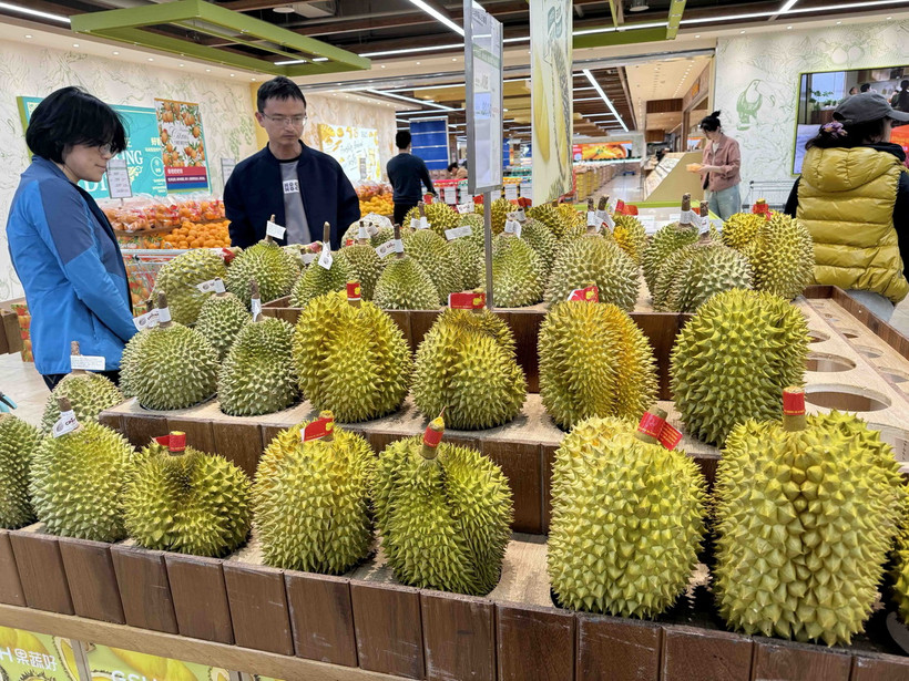 Ảnh minh họa. Ảnh: TTXVN