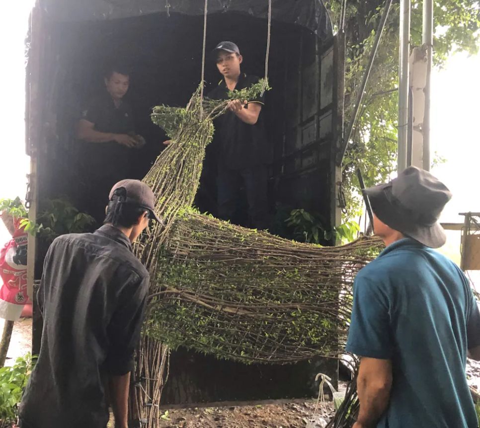 Linh vật năm Bính Ngọ 2026 được nhiều khách hàng ở Singapore và Hà Nội đặt hàng. Ảnh: TÍN HUY