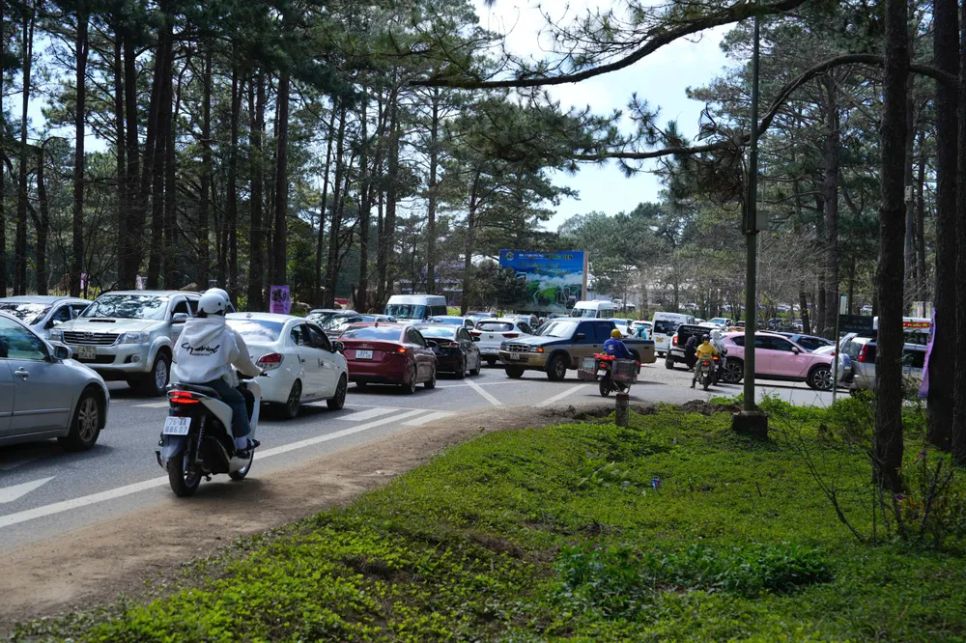 Quảng Ngãi: Du khách ùn ùn đổ về Măng Đen ngày đầu năm mới