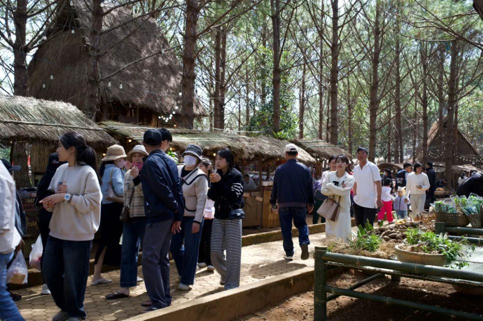 Quảng Ngãi: Du khách ùn ùn đổ về Măng Đen ngày đầu năm mới