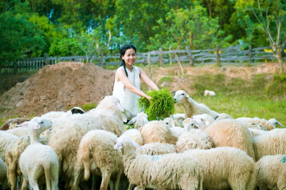 Khu du lịch sinh thái Đồi Cừu - Bưng Riềng là điểm đến hấp dẫn du khách ở vùng thôn quê xã Xuyên Mộc, TPHCM. Khu du lịch sinh thái Đồi Cừu - Bưng Riềng là điểm đến hấp dẫn du khách ở vùng thôn quê xã Xuyên Mộc, TPHCM.