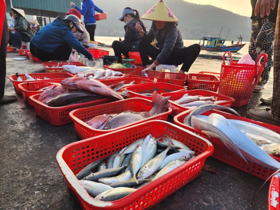 Các loại hải sản tươi ngon đưa vào bán tại cảng cá Cửa Sót