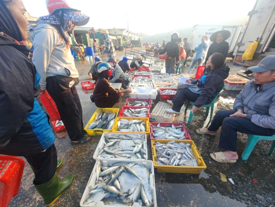 Hải sản các loại được đánh bắt đưa vào tiêu thụ tại cảng cá Cửa Sót
