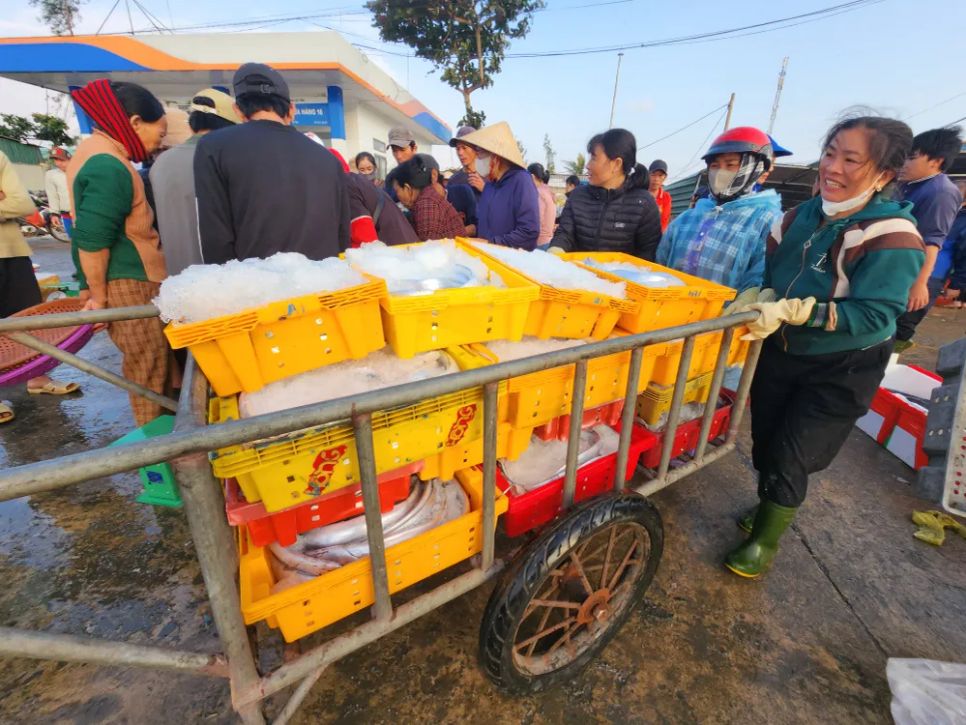 Ngày đầu năm ngư dân đánh bắt được rất nhiều cá hố tươi ngon