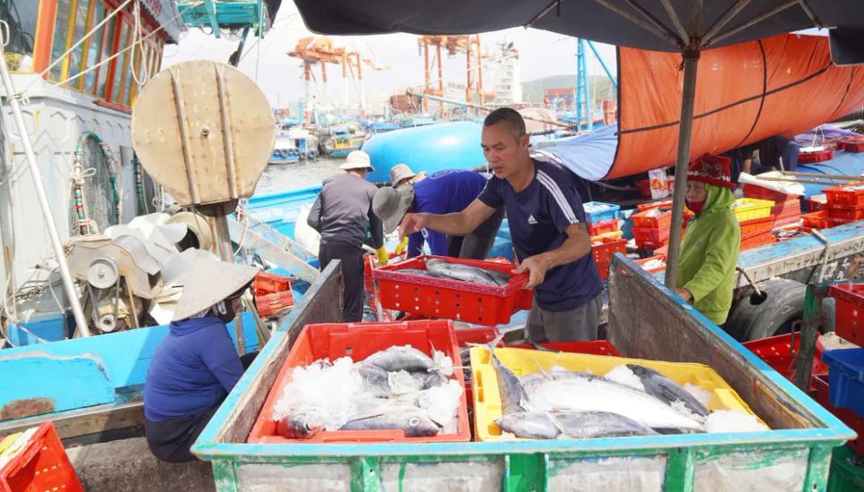 Ngư dân miền Trung vươn khơi trúng 