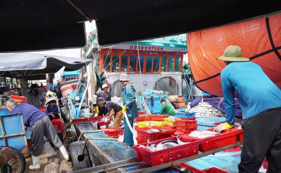 Ngư dân miền Trung vươn khơi trúng 