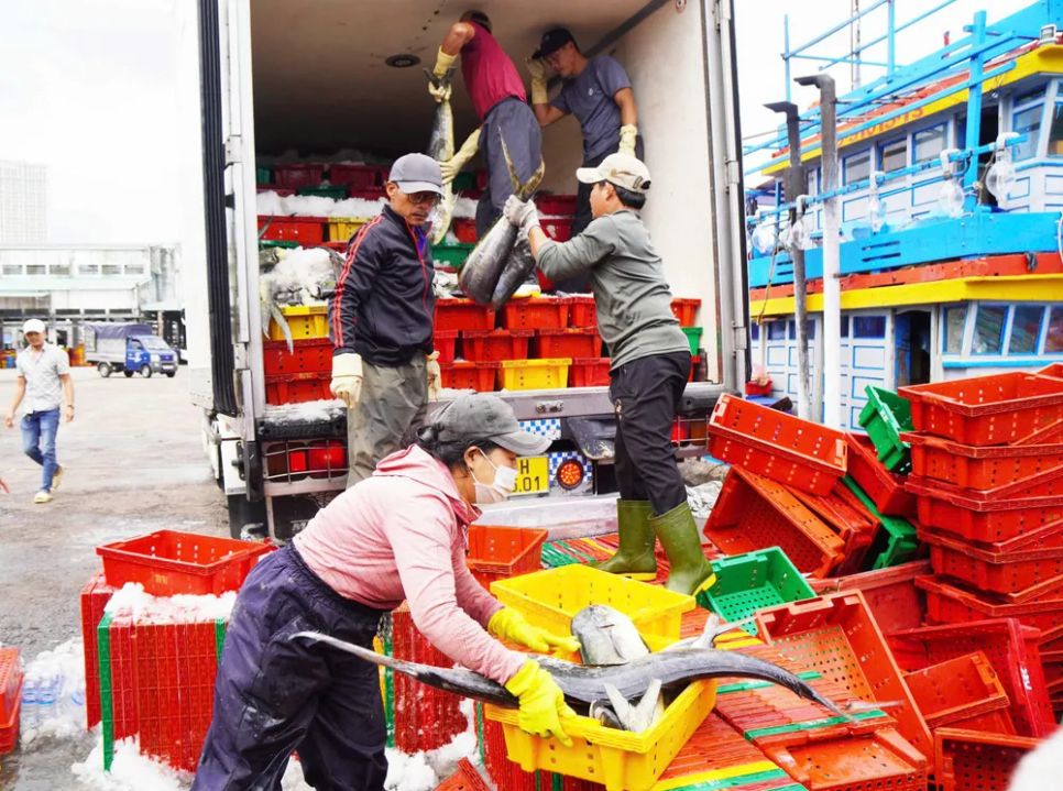 Ngư dân miền Trung vươn khơi trúng 