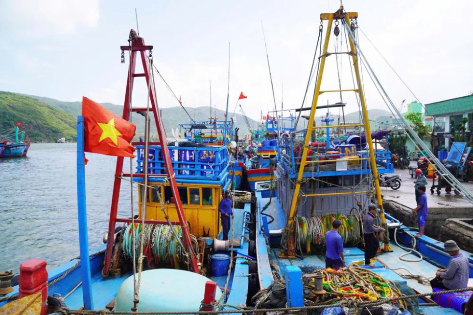 Ngư dân miền Trung vươn khơi trúng 
