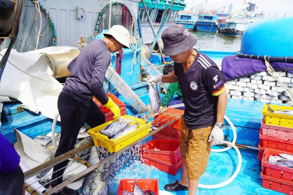 Ngư dân miền Trung vươn khơi trúng 